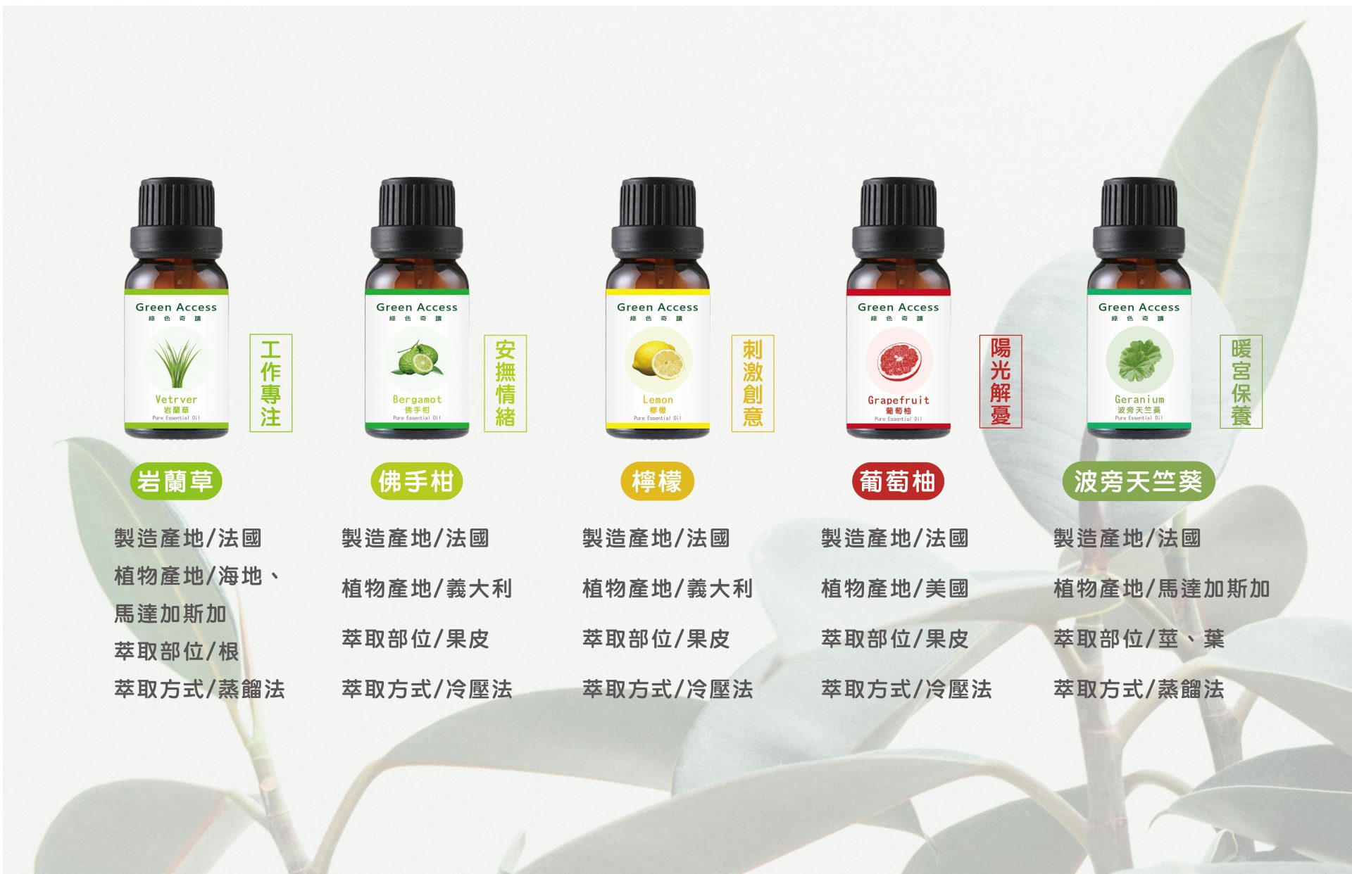 國際通精油商品介紹